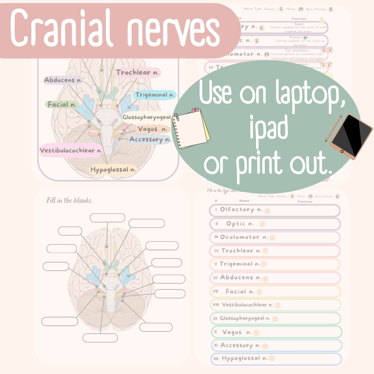 Cranial Nerves Cheat sheet for Nursing Students