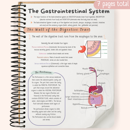 The Gastrointestinal System Study Guide