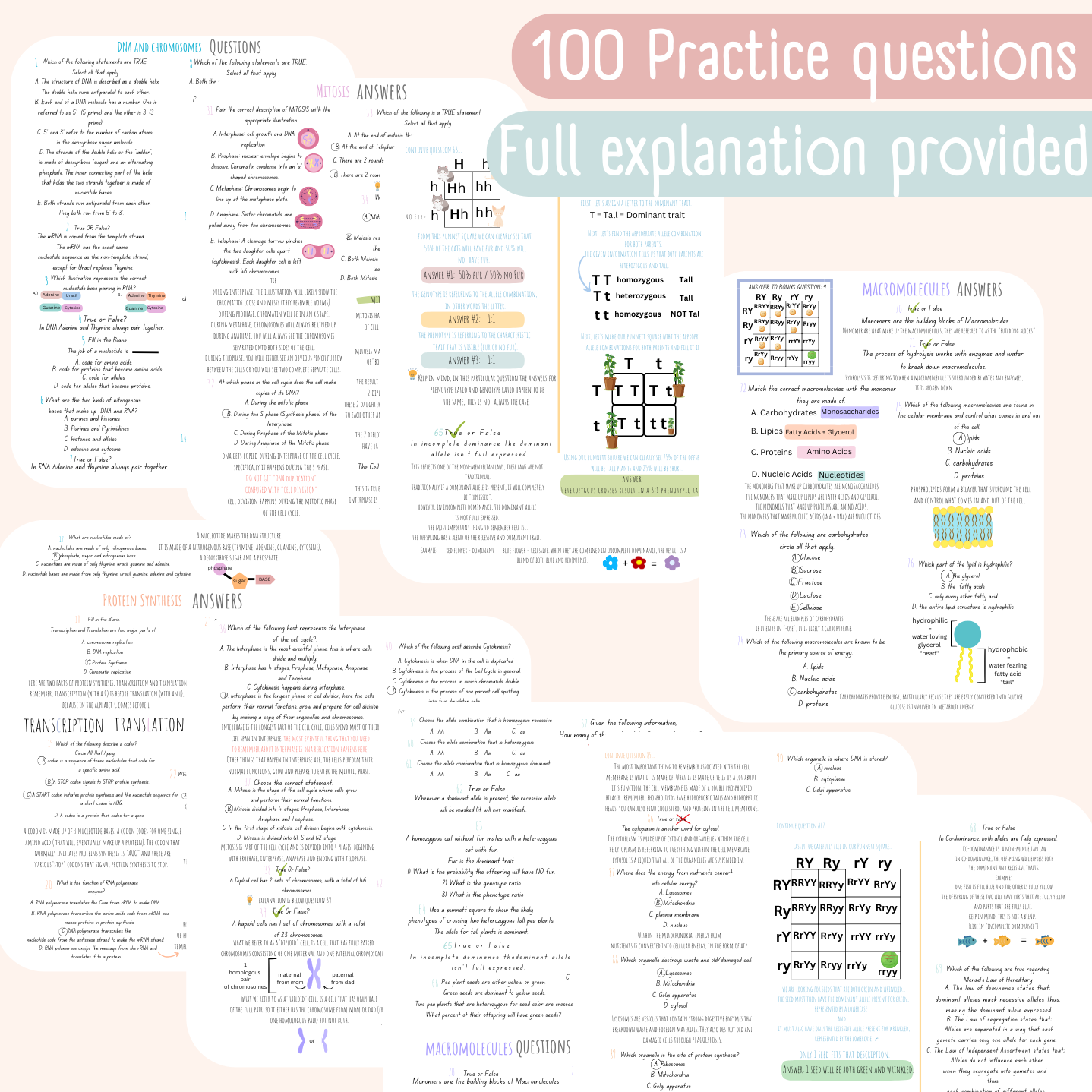 TEAS Biology Study Guide + 100 Must Know Practice Questions