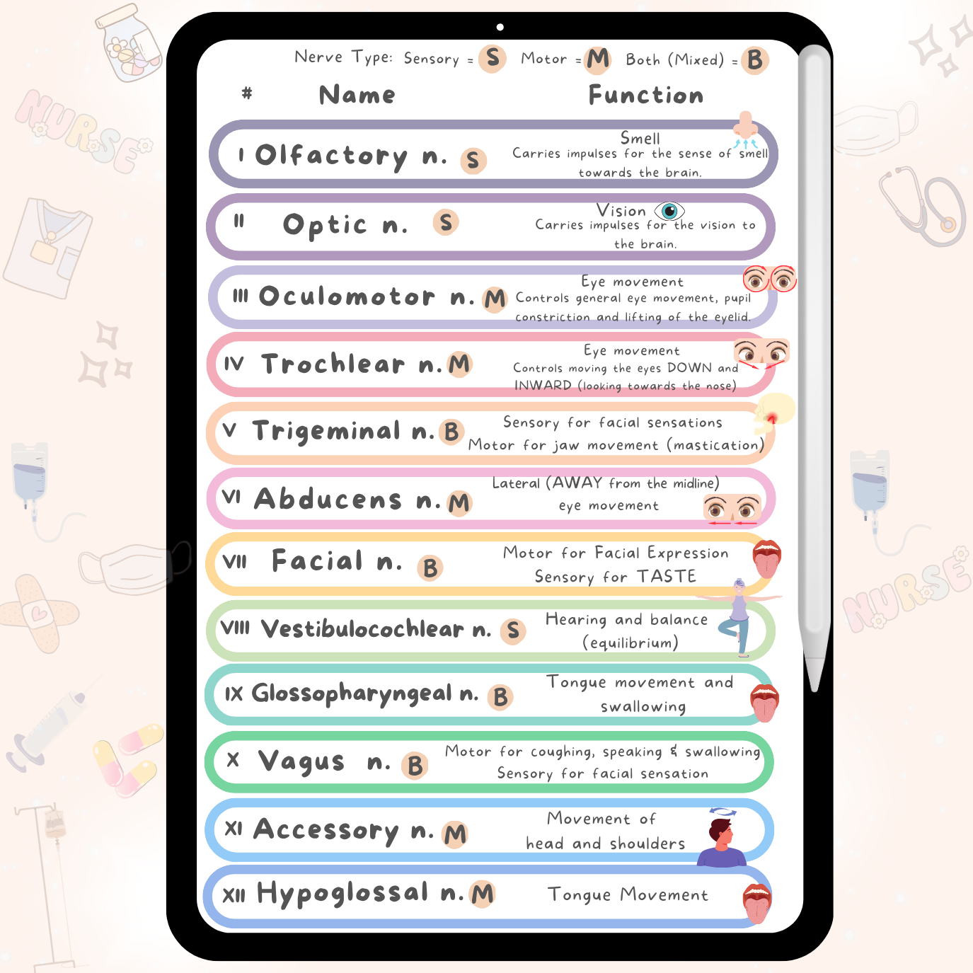 Cranial Nerves Cheat sheet for Nursing Students