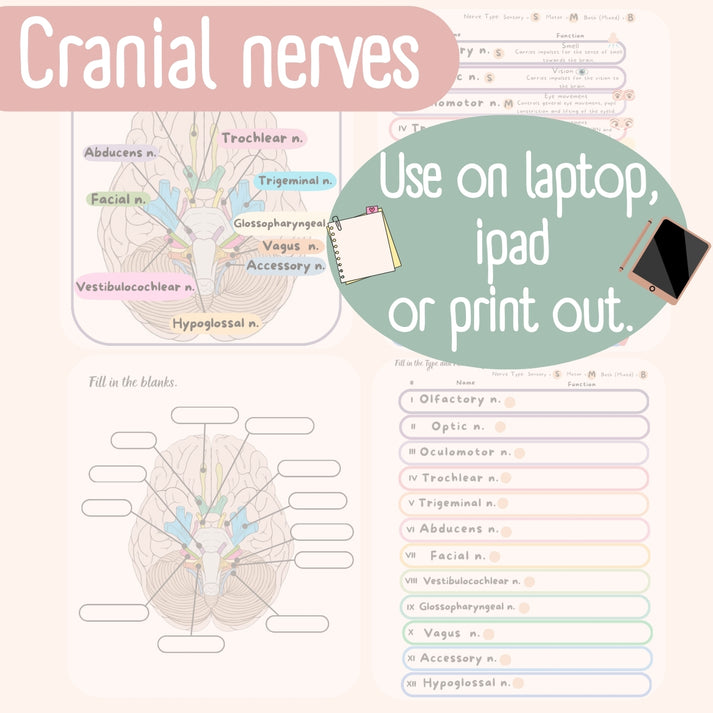 Cranial Nerves Cheat sheet for Nursing Students – TheTutor_Geek