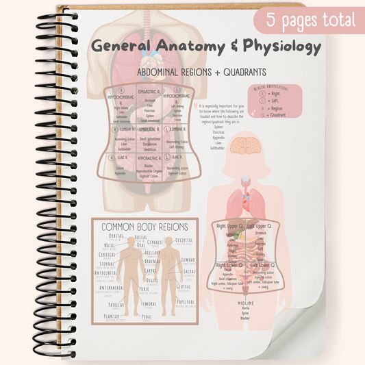 General Anatomy & Physiology