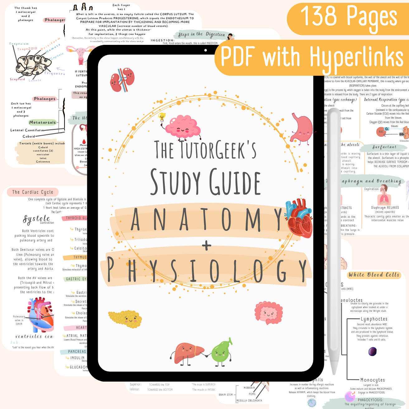 TEAS Anatomy & Physiology Study Guide + 362 Must Know Practice Questions