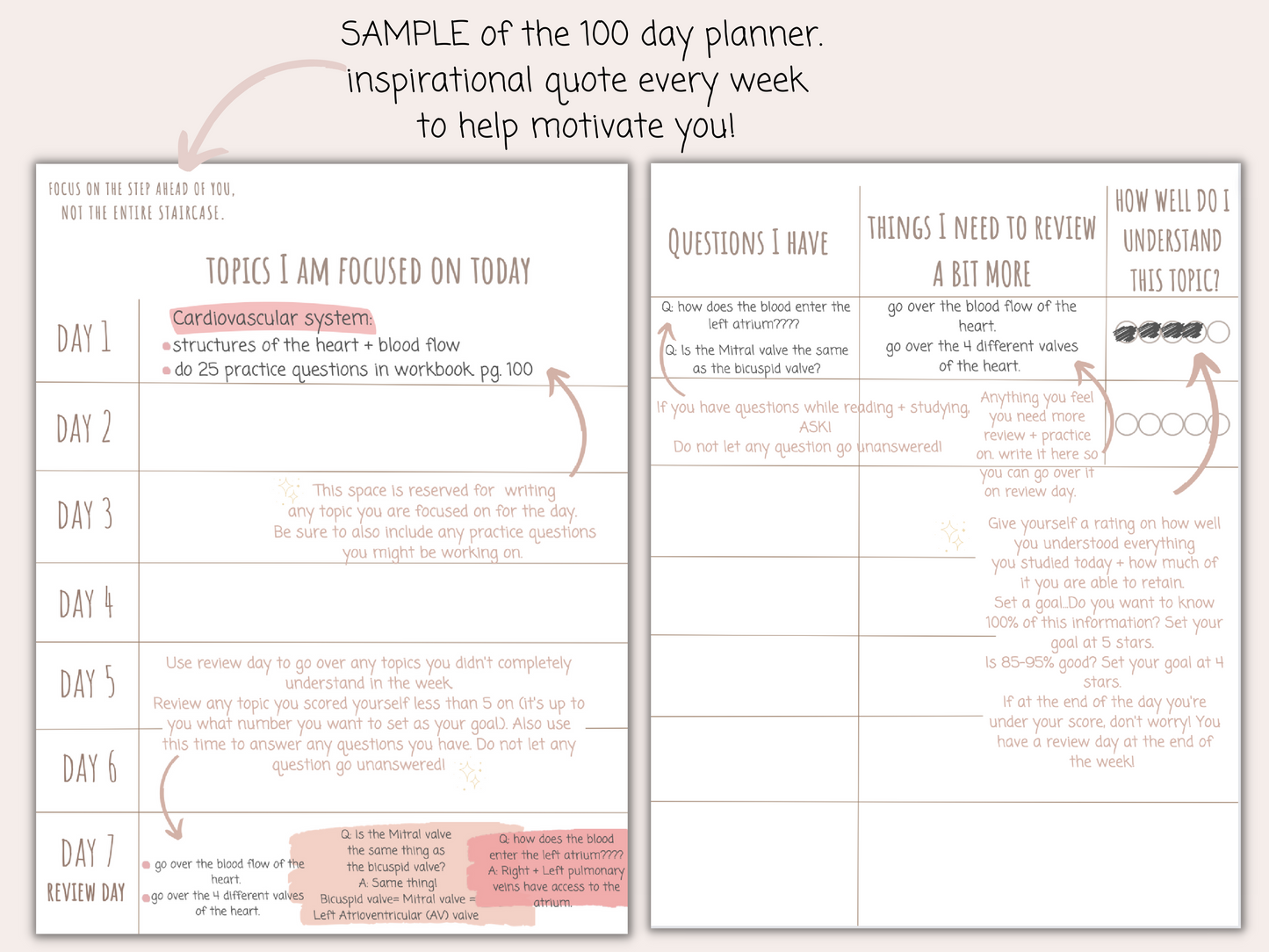 TEAS Exam Study Planner PDF